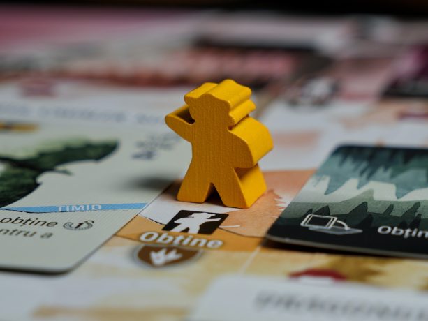 Meeple-ul explorator, gata de aventură