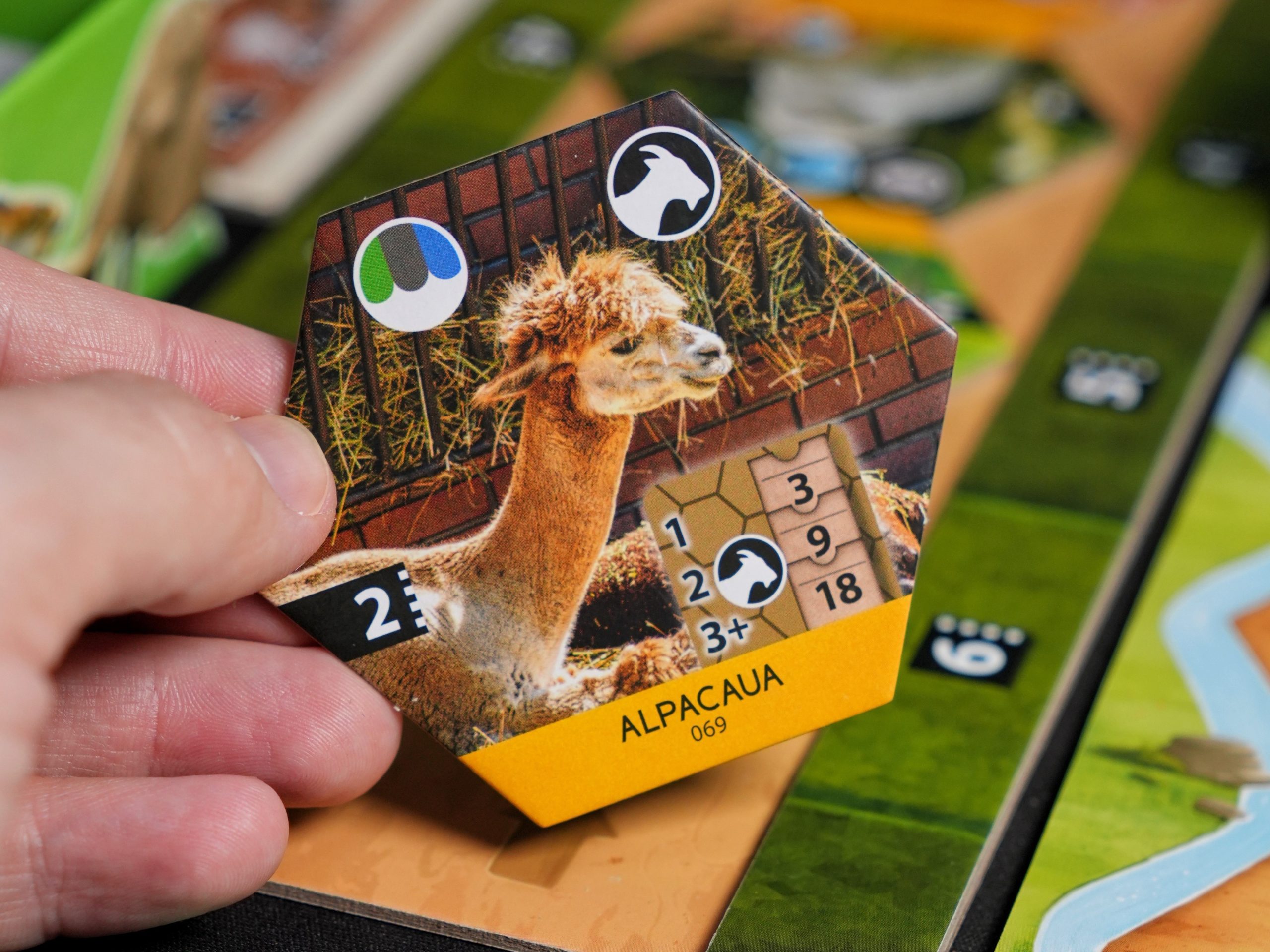 Cui îi plac alpacalele?